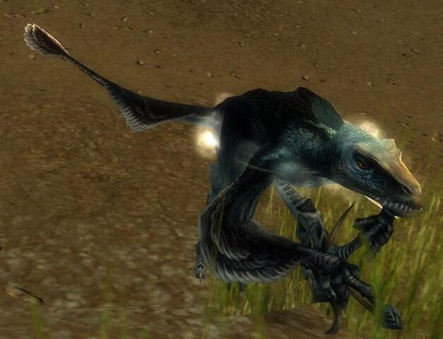 File:Raptor.jpg