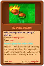 Flaming Melon2