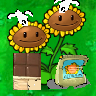Twin Cooking Sunflower