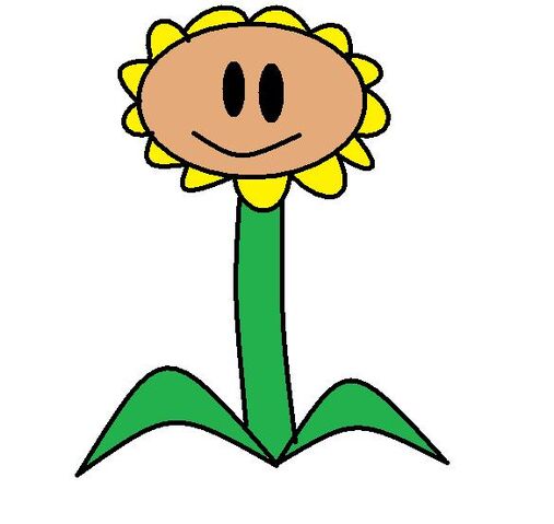 File:Sunflower.jpg