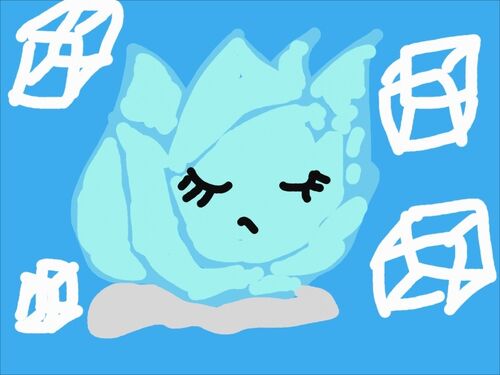 Iceberg Lettuce