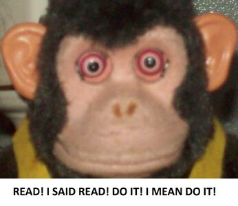 MONKEY! Please Read!