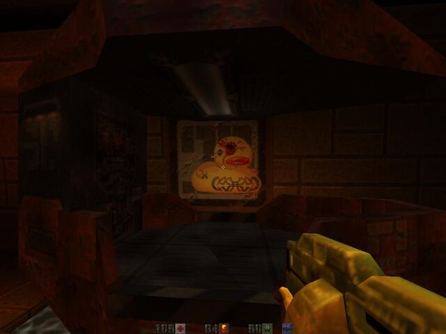 File:Q2 duckie.jpg