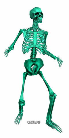 File:P bones.jpg