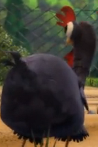 File:Rabbids Chicken3.png