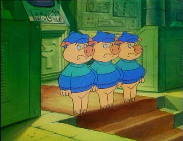 File:Worried pigs.jpg
