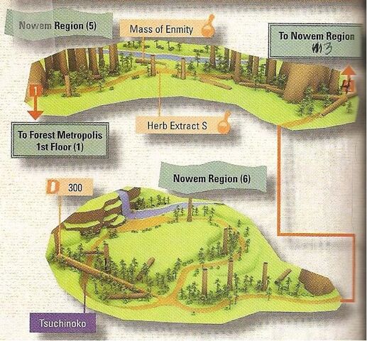 File:NowemRegion2.jpg