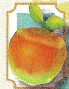 LifeBerry