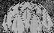 Supreme Fruit