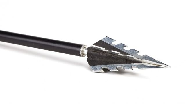 File:Razor Arrow Heads.jpg
