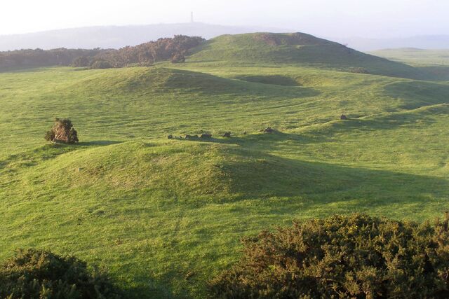 File:Bronkham Hill barrow cemetery, Dorset.jpg