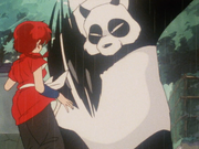 GirlVs.Panda