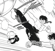 Ranma steps in - Black Secret