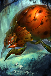 180px-Ashmawcard.png