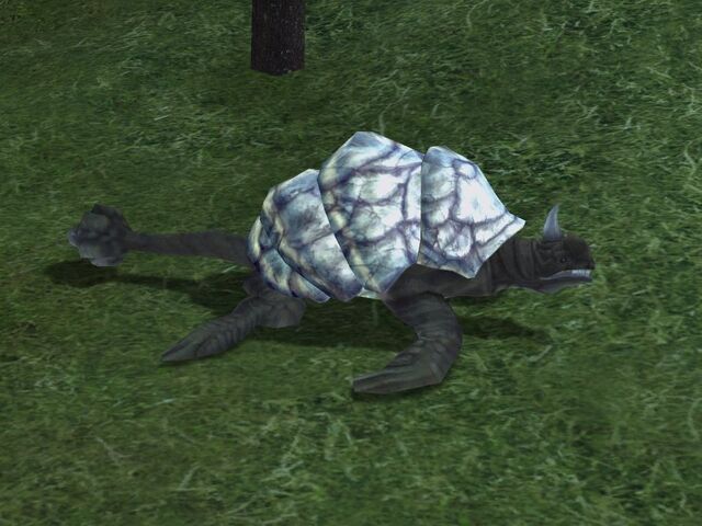 File:Rock Turtle.jpg