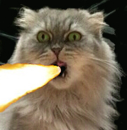 CatSplicerX