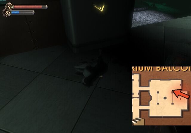 File:CatPP 2.jpg