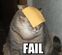 Failcat