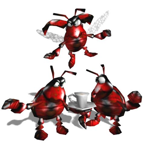 File:DungBeetlesBFD.jpg