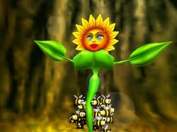 Sunflower