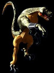 Riptor