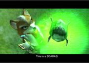 Scarab