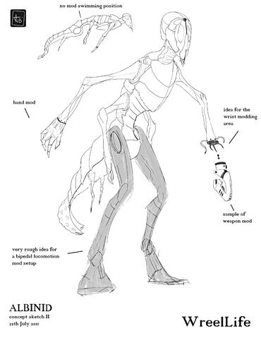 File:Albinid-sketch2-resized.jpg