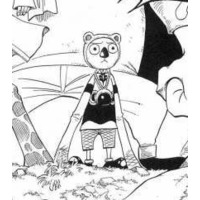 Koala
