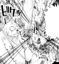 Demon Card spots a bear