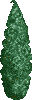 File:Lawson Cypress.png