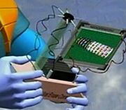 Viral Erase Command 2