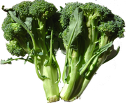 Broccoli1.png