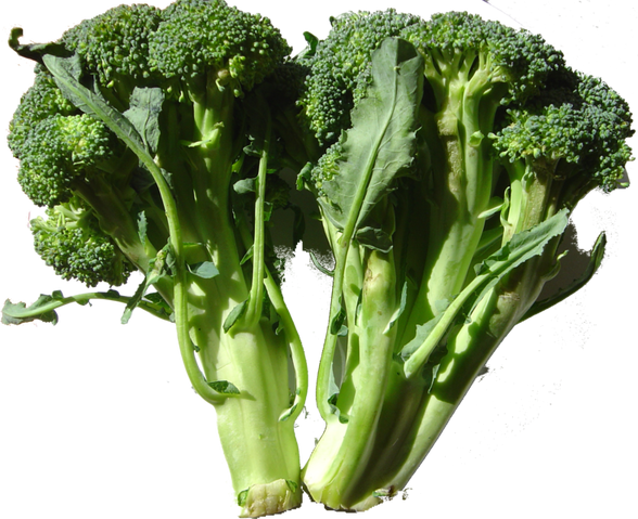 Bestand:Broccoli1.png