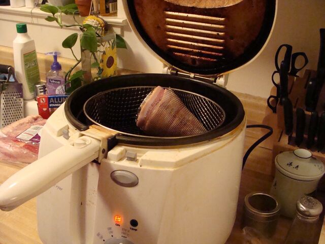 File:Bacone09.jpg