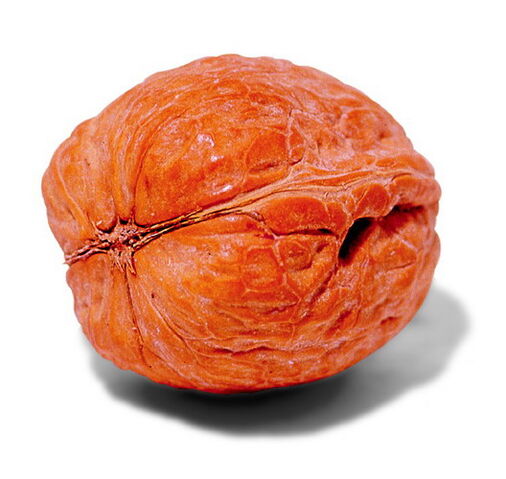 File:Walnut.jpg