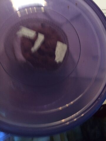 File:Cookie sandwich blue bin.jpeg