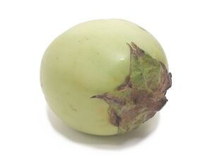Apple green eggplant