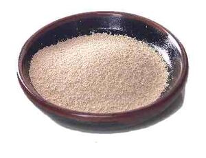 ActiveDryYeast