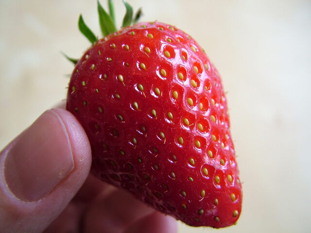 File:Strawberry-cake-blog-1.jpg