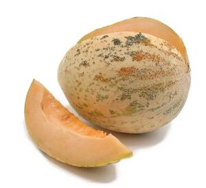 Crane melon