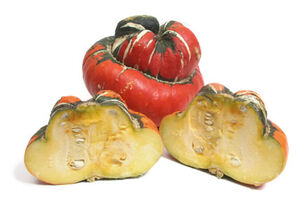 TurbanSquash