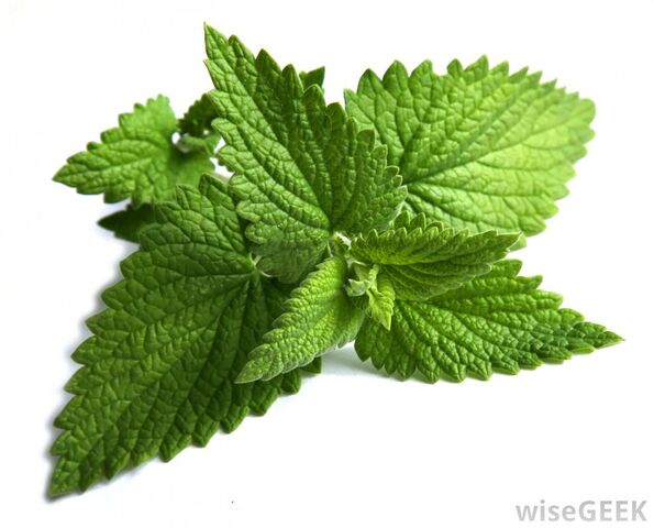 File:Fresh-mint-aphrodisiacs-lovecourses.jpg