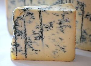 Cashel bleu