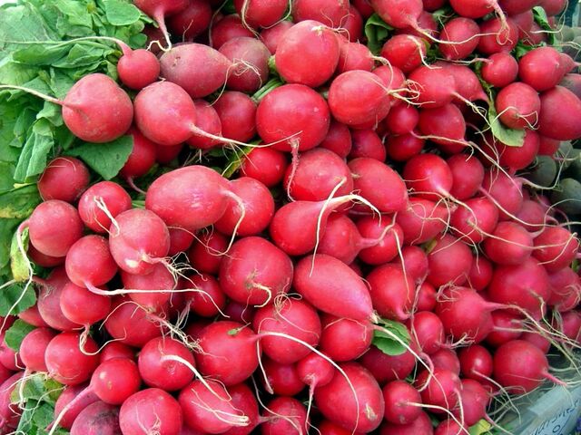 File:Radishes-5719.jpg