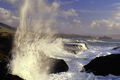 Thumbnail for version as of 09:00, April 25, 2010