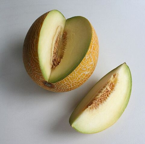 File:Galia melon.jpg