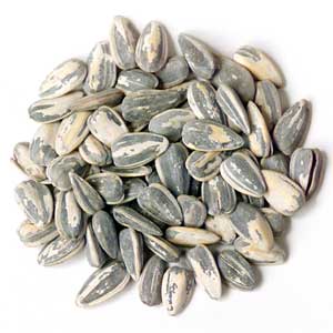 SunflowerSeeds