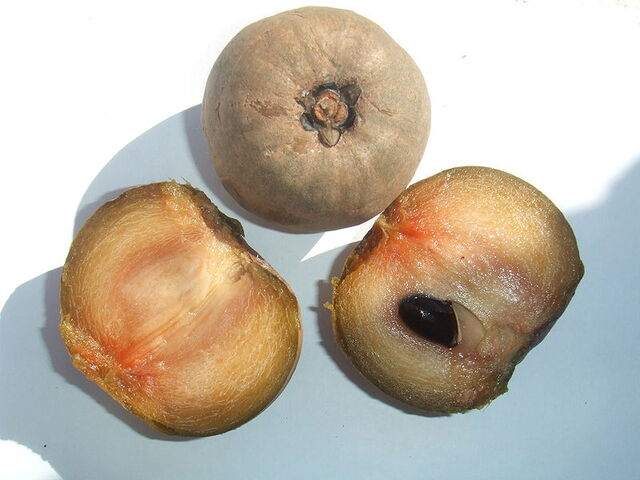 File:Sapodilla fruit.jpg