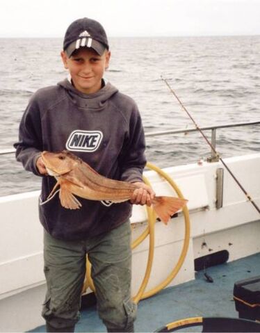File:Gurnard.jpg