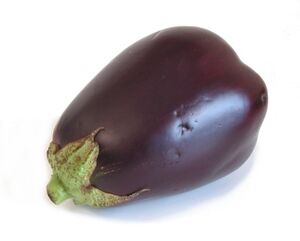 American eggplant